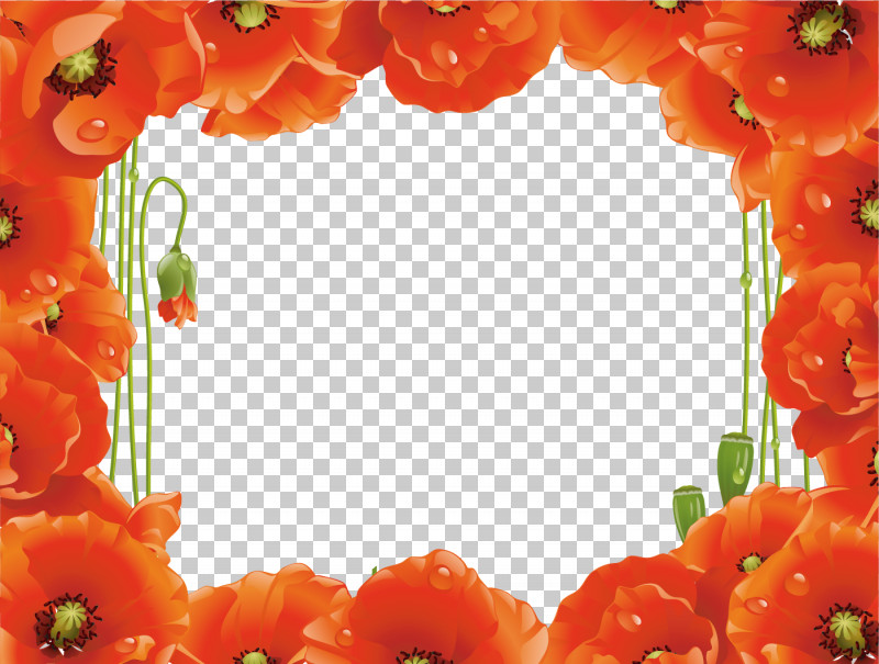 Poppy Frame Flower Frame Floral Frame PNG, Clipart, Coquelicot, Floral Frame, Flower, Flower Frame, Orange Free PNG Download