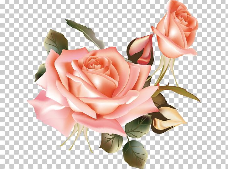 Flower Beach Rose PNG, Clipart, Artificial Flower, Color, Decorative Paintings, Fine, Floribunda Free PNG Download