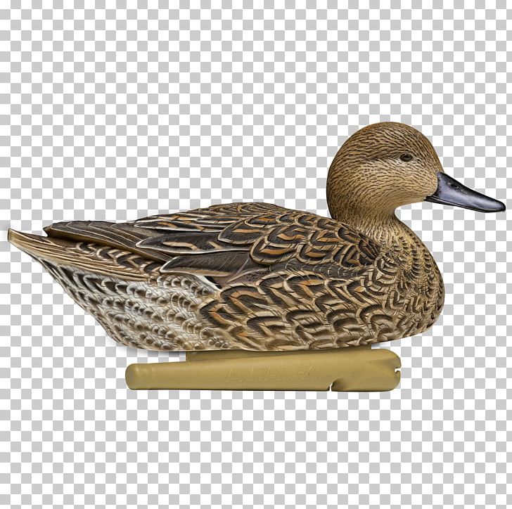 Mallard Duck Decoy Northern Pintail PNG, Clipart, American Black Duck, Animals, Beak, Bird, Decoy Free PNG Download