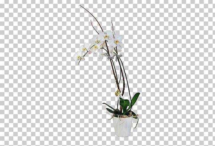 Moth Orchids Floral Design Dendrobium Flowerpot Cut Flowers PNG, Clipart, Artificial Flower, Branch, Cut Flowers, Dendrobium, Flora Free PNG Download
