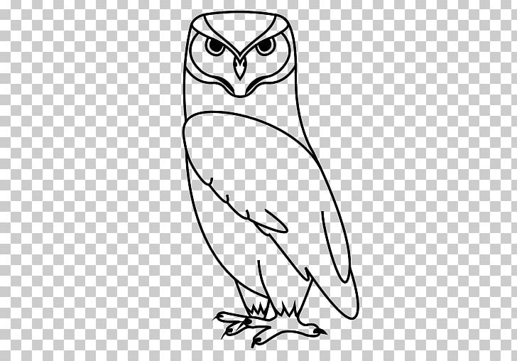 Owl Beak Bird PNG, Clipart, Animals, Artwork, Beak, Bird, Bird Of Prey Free PNG Download