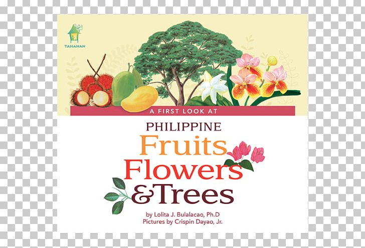 A First Look At Philippine Fruits Philippines Book A First Look At Philippine Butterflies Floral Design PNG, Clipart, Board Book, Book, Brand, Floral Design, Flower Free PNG Download
