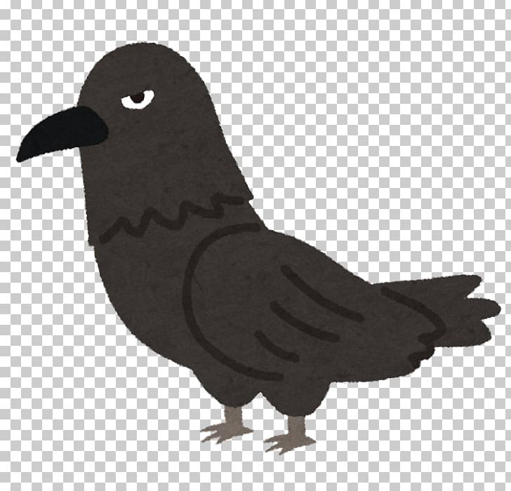 Crow Tokyo Municipal Solid Waste いらすとや PNG, Clipart, Animal, Animals, Beak, Bird, Bird Bird Free PNG Download