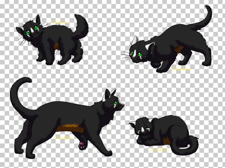 Whiskers Cat Dog Canidae Paw PNG, Clipart, Animal, Animal Figure, Black Cat, Canidae, Carnivoran Free PNG Download