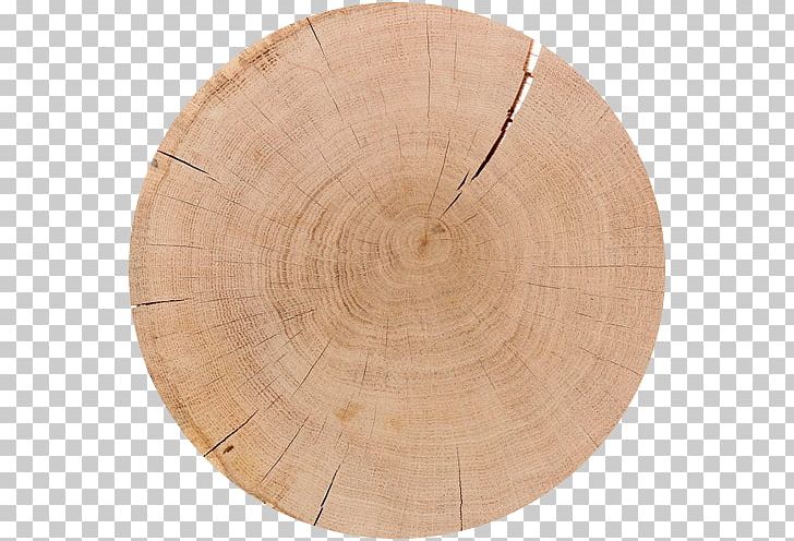 Wood Stain /m/083vt PNG, Clipart, Admin, Circle, M083vt, Nature, Table Free PNG Download