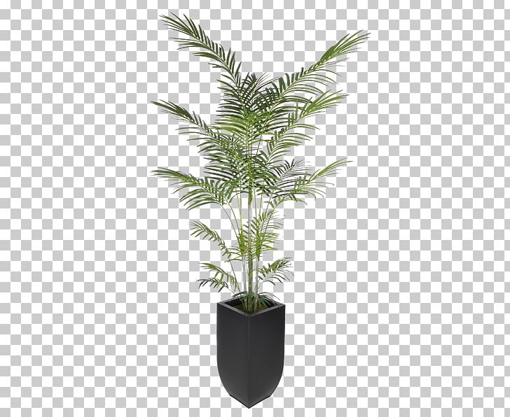 Arecaceae Areca Palm Artificial Flower Dracaena Reflexa Plant PNG, Clipart, Areca, Arecaceae, Arecales, Areca Palm, Artificial Free PNG Download