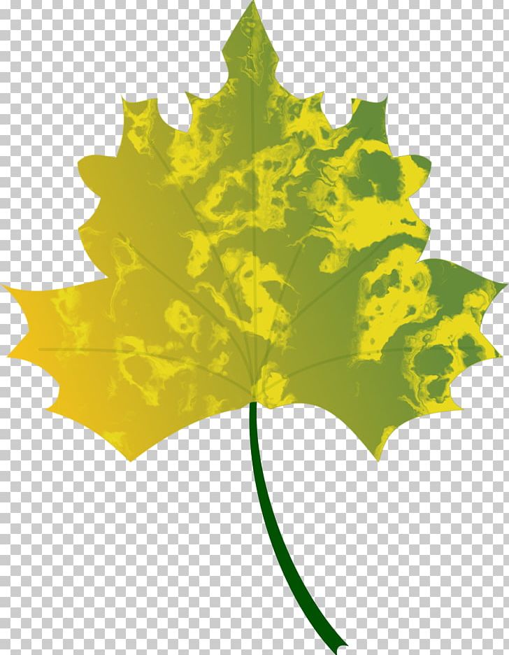 Autumn Leaf Color PNG, Clipart, Autumn, Autumn Leaf Color, Autumn Leaves, Desktop Wallpaper, Download Free PNG Download