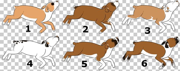 Dog Breed Non-sporting Group Horse Cat PNG, Clipart, Animal, Animal Figure, Area, Breed, Camel Free PNG Download