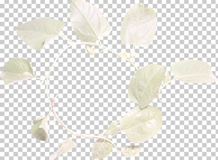 Petal Pattern PNG, Clipart, Beautiful, Beautiful Foliage, Beauty, Beauty Salon, Foliage Free PNG Download