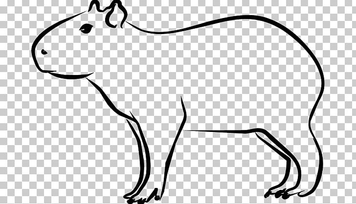Capybara Rodent Beaver Drawing Pencil PNG, Clipart, Animal, Animal Figure, Animals, Artwork, Beak Free PNG Download