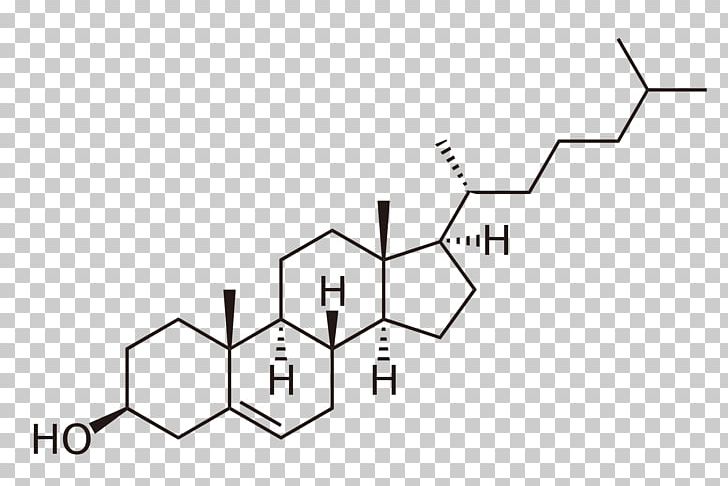 Cholesterol Phytosterol Lipid Steroid PNG, Clipart, Angle, Area, Bile, Bile Acid, Biological Membrane Free PNG Download