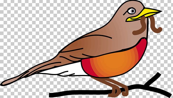 European Robin American Robin PNG, Clipart, American Robin, Art, Artwork, Beak, Bird Free PNG Download