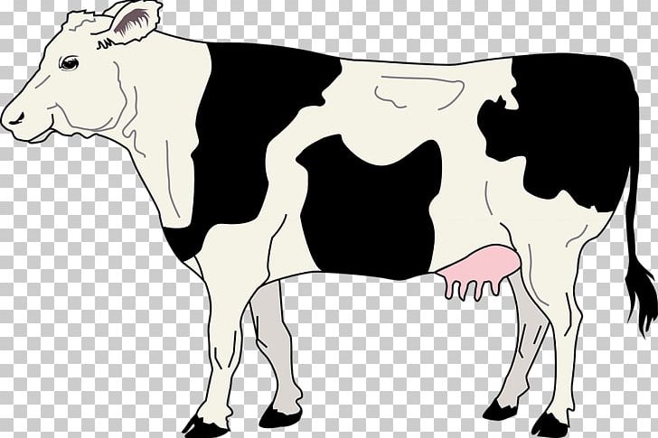 Hereford Cattle Bull Calf PNG, Clipart, Animals, Beef, Black, Black And White, Bovine Spongiform Encephalopathy Free PNG Download