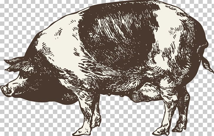 Infographic Chart Graphic Design PNG, Clipart, Animal, Animals, Black And White, Boar, Boar Vector Free PNG Download