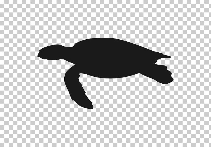 Sea Turtle Reptile Teenage Mutant Ninja Turtles PNG, Clipart, Animal, Animals, Beak, Black And White, Fauna Free PNG Download