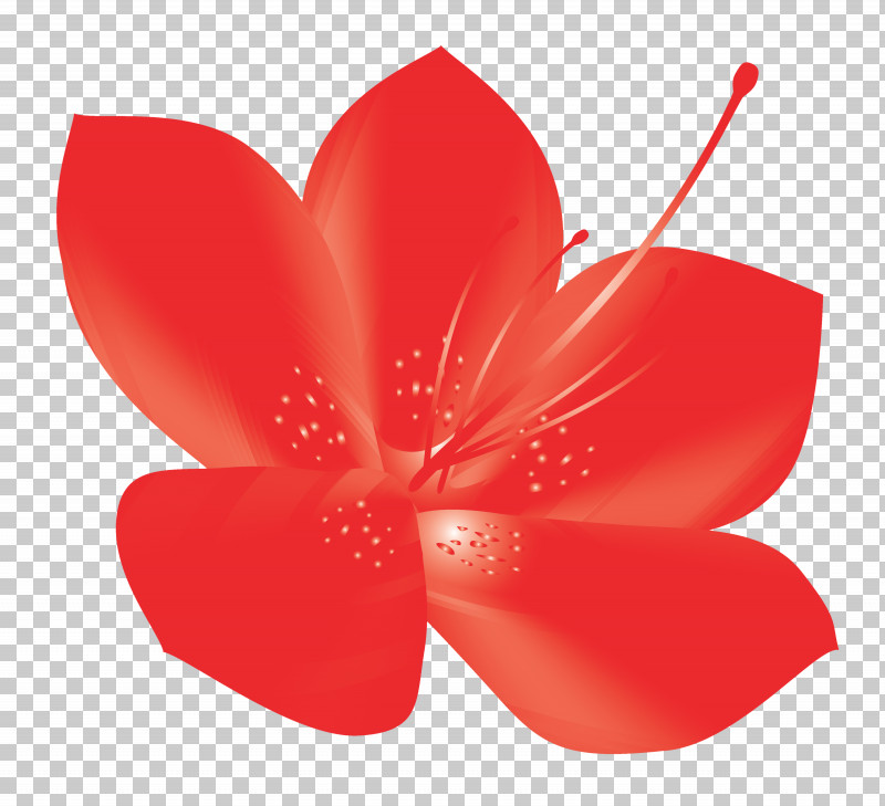 Azalea Spring Flower Azalea Flower PNG, Clipart, Anthurium, Azalea, Azalea Flower, Flower, Hibiscus Free PNG Download