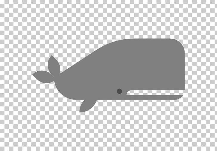 Dolphin Aquatic Animal Computer Icons Whale PNG, Clipart, Animal, Animals, Aquatic Animal, Aquatic Plants, Black Free PNG Download