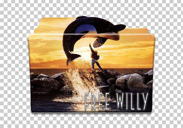 Hollywood Free Willy Killer Whale Film Cinema PNG, Clipart, Cetacea, Child, Cinema, Film, Free Willy Free PNG Download