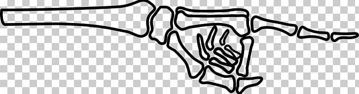 Human Skeleton Hand PNG, Clipart, Angle, Arm, Black And White, Bone, Branch Free PNG Download