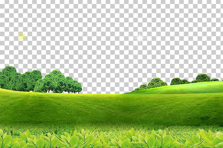 Poster Screensaver High-definition Television PNG, Clipart, Computer Wallpaper, Coreldraw, Decorative Patterns, Download, Dwg Free PNG Download