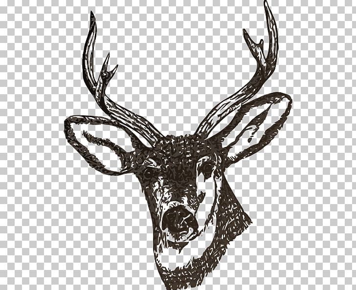 Red Deer White-tailed Deer Douchegordijn Moose PNG, Clipart, Antler, Bathroom, Black And White, Curtain, Deer Free PNG Download