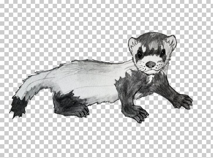 Ferret Mink Badger Animal Procyonidae PNG, Clipart, Animal, Animal Figure, Animals, Artwork, Badger Free PNG Download