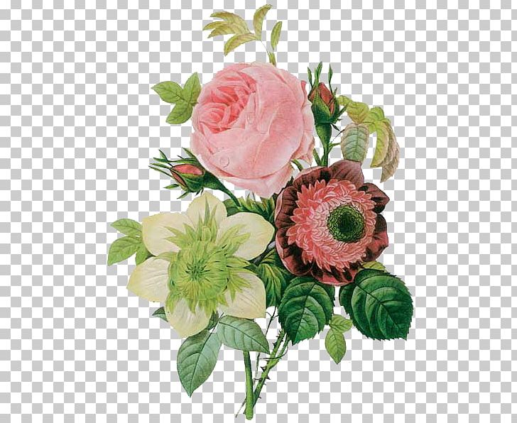 Flowers Pierre-Joseph Redouté (1759-1840) Roses Painter Painting PNG, Clipart, Art, Artificial Flower, Artist, Botanical Illustration, Cut Flowers Free PNG Download