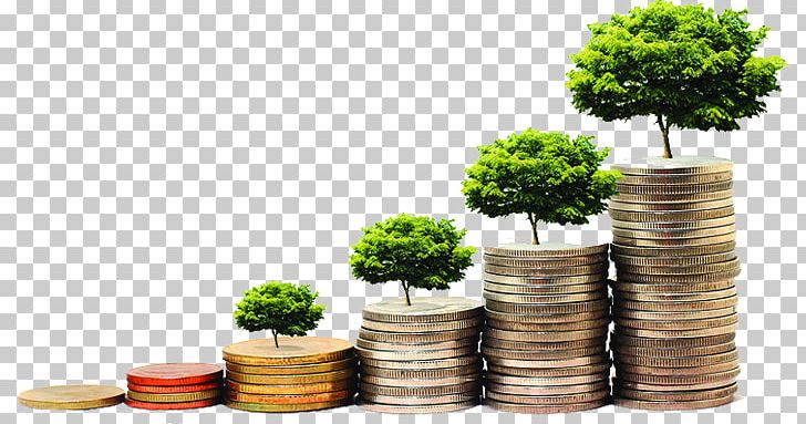 Funding Investment Fund Mutual Fund Saving PNG, Clipart, Bank, Exchangetraded Fund, Financial Services, Flowerpot, Funding Free PNG Download