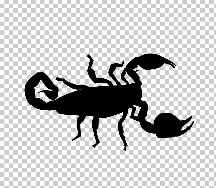 Insect Silhouette Black Cartoon PNG, Clipart, Animal Illustration, Animals, Artwork, Black, Black And White Free PNG Download