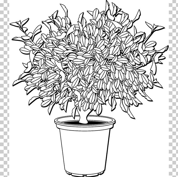 Line Art /m/02csf Drawing Floral Design PNG, Clipart, Artwork, Basket, Black And White, Branch, Drawing Free PNG Download