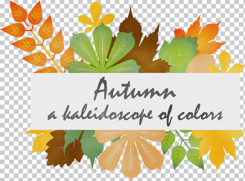Maple Leaf PNG, Clipart, Autumn, Autumn Background, Flat Design, Happy Fall, Hello Autumn Free PNG Download