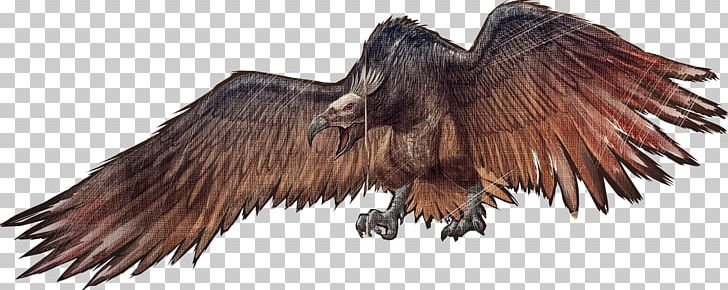 ARK: Survival Evolved Bird Argentavis Magnificens Spinosaurus Yutyrannus PNG, Clipart, Accipitriformes, Animals, Argentavis Magnificens, Ark Survival, Ark Survival Evolved Free PNG Download