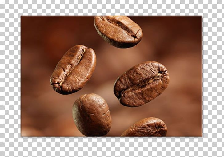 Coffee Cafe Bakery Restaurant Bar Pino PNG, Clipart, Arabica Coffee, Bakery, Bar, Beans, Cafe Free PNG Download