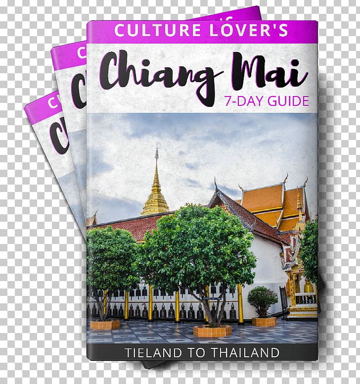 Chiang Mai Hotel Travel Guest House Backpacker Hostel PNG, Clipart, Adventure, Advertising, Backpacker Hostel, Brand, Chiang Mai Free PNG Download