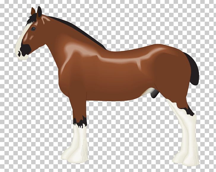 Clydesdale Horse Foal Draft Horse PNG, Clipart, Animal, Animal Figure, Animation, Black, Bridle Free PNG Download