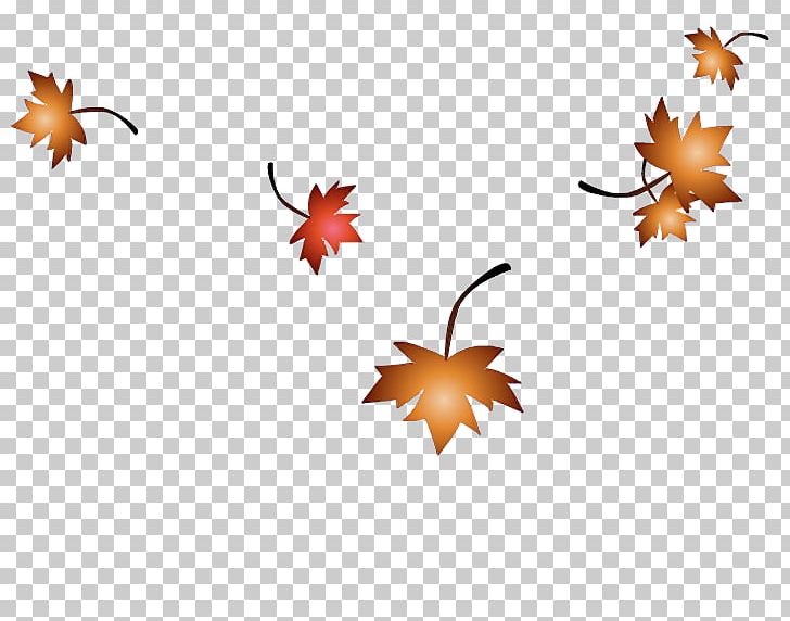 Maple Leaf SWF PNG, Clipart, Adobe Flash Player, Animation, Autumn, Autumn Tree, Branch Free PNG Download
