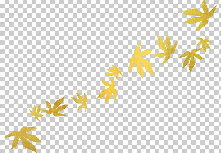 Leaf Autumn Leaves Portable Network Graphics Blog PNG, Clipart, Autumn, Autumn Leaves, Blog, Branch, Computer Wallpaper Free PNG Download