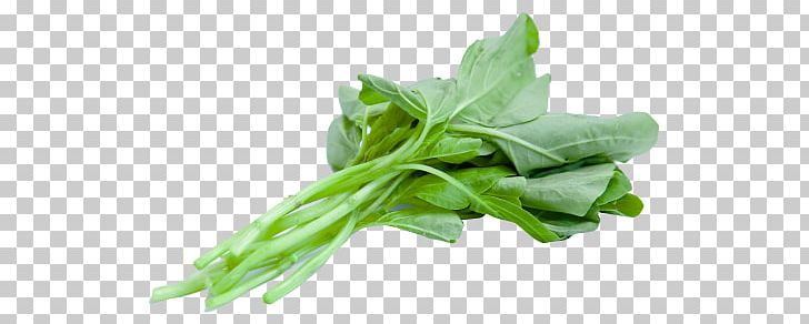 Spinach Leaf Vegetable Food PNG, Clipart, Chard, Chinese, Choy Sum, Collard Greens, Edit Free PNG Download