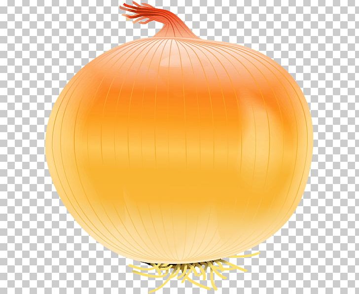 Yellow Onion Calabaza Red Onion PNG, Clipart, Blog, Calabaza, Clip, Clip Art, Cucurbita Free PNG Download