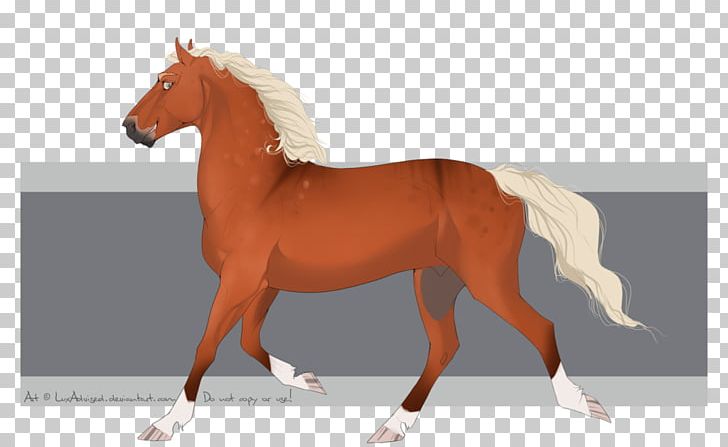 Mane Mustang Stallion Foal Mare PNG, Clipart, Bridle, Colt, English Riding, Equestrian, Foal Free PNG Download