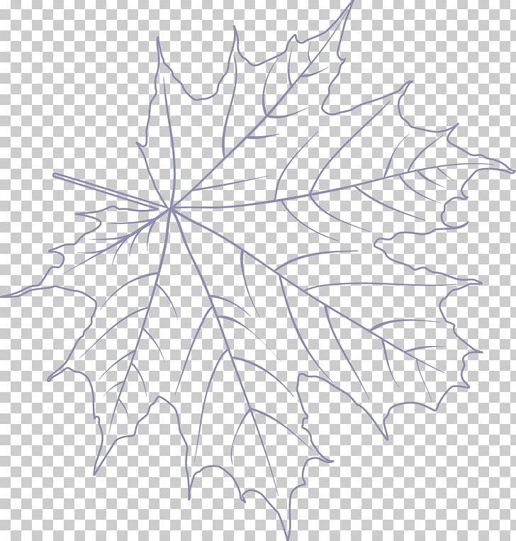 Maple Leaf /m/02csf Drawing Symmetry Line Art PNG, Clipart, Area, Artwork, Autumn Leaf Color, Black And White, Branch Free PNG Download