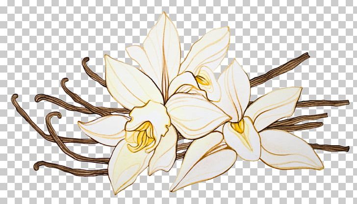 Vanilla Orchids Aroma Hot Chocolate Flower PNG, Clipart, Aroma, Art, Artwork, Branch, Coffee Free PNG Download