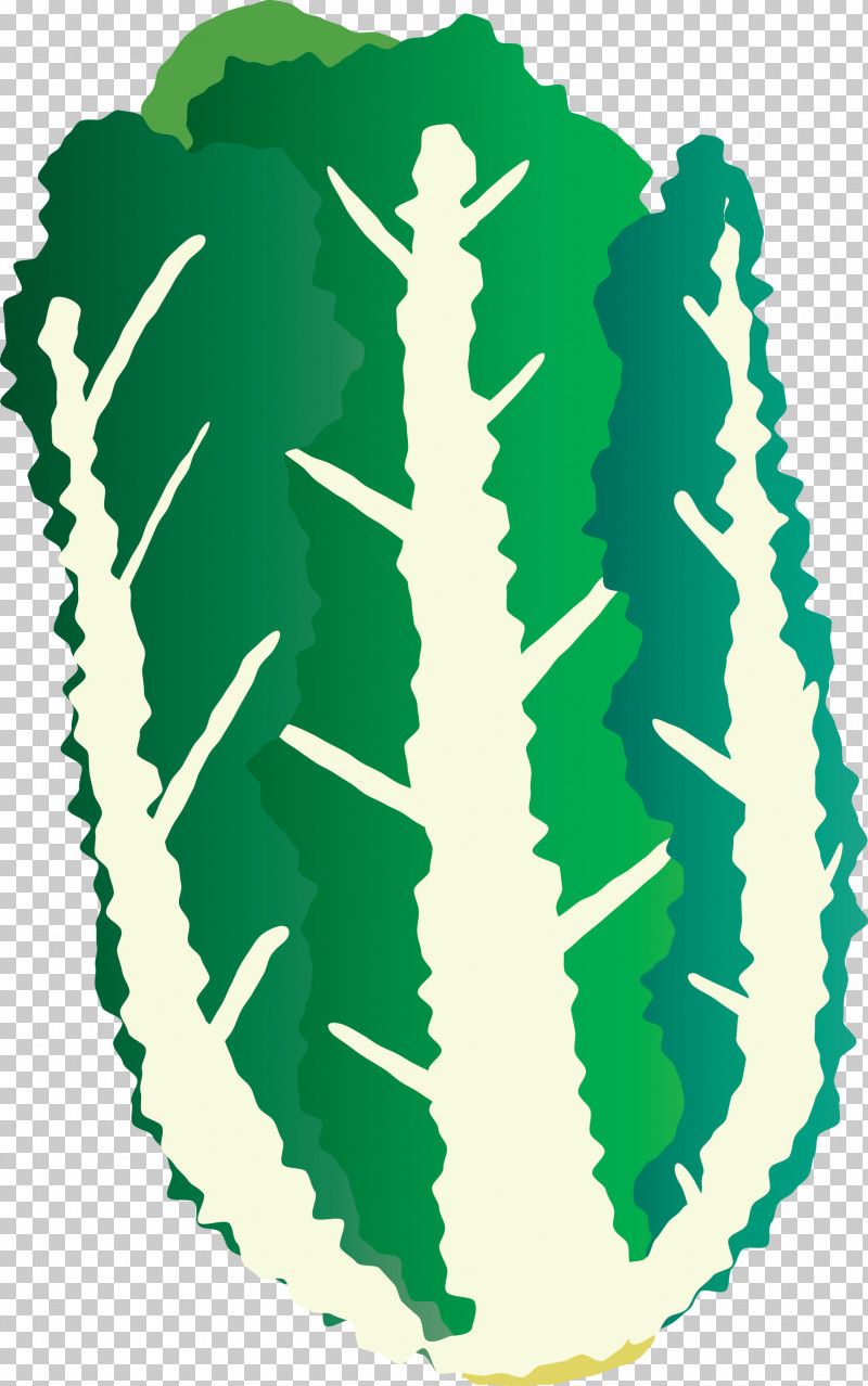 Nappa Cabbage PNG, Clipart, Green, Nappa Cabbage, Seahorse Free PNG Download