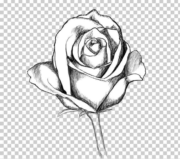 Drawing Line Art Sketch PNG, Clipart, Artwork, Black And White, Cartoon, Cut Flowers, Drawing Free PNG Download
