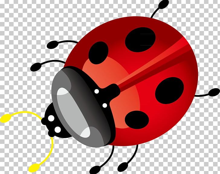 Ladybird Insect Euclidean PNG, Clipart, Adobe Illustrator, Arthropod, Beetle, Beneficial Insects, Christmas Decoration Free PNG Download