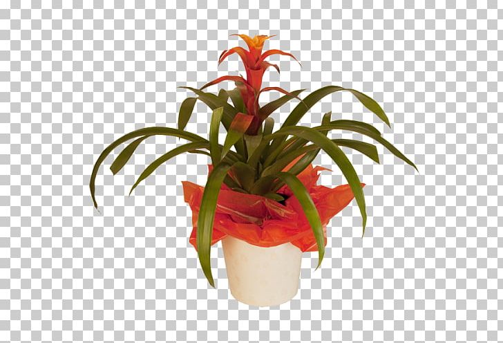 Cut Flowers Floristry Flowerpot Houseplant PNG, Clipart, Cut Flowers, Floristry, Flower, Flowering Plant, Flowerpot Free PNG Download
