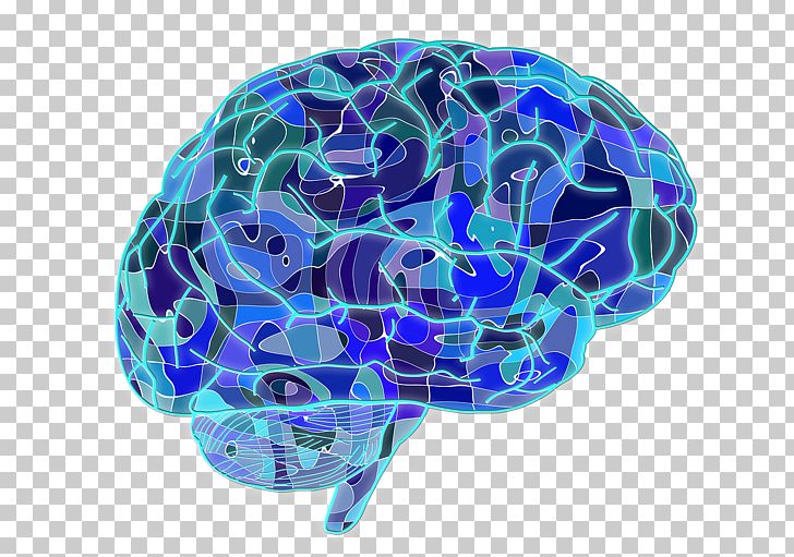 Large Scale Brain Networks Neuroscience Memory Neuron PNG, Clipart, Basal Ganglia, Blue, Blue Abstract, Blue Background, Blue Brain Project Free PNG Download