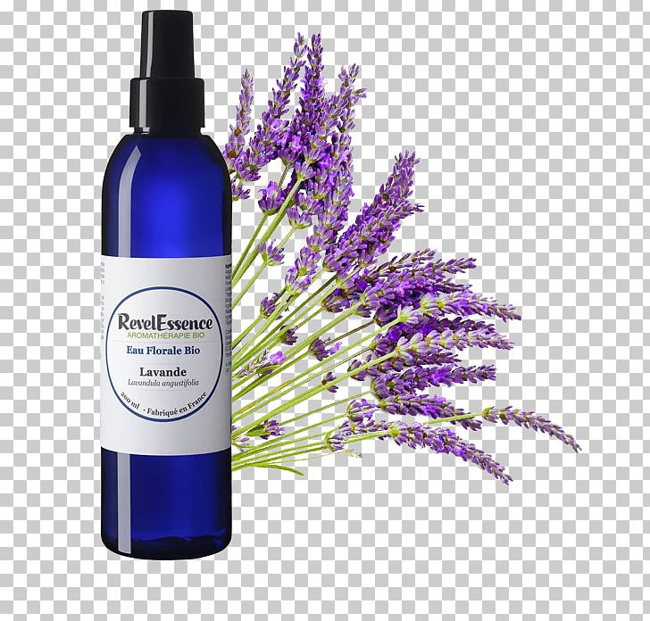 English Lavender Lavender Oil Essential Oil Provence PNG, Clipart, Aroma Compound, Aromatherapy, English Lavender, Essential Oil, Flavor Free PNG Download