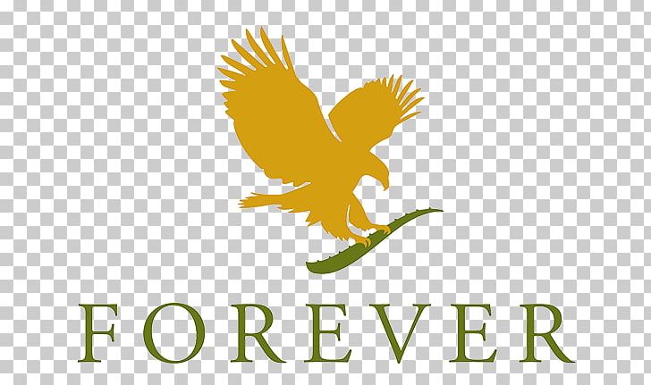 Forever Living Products Ireland Forever Living Consultant Forever Living Products Australia Forever The Aloe Vera Company PNG, Clipart, Bird, Bra, Business, Computer Wallpaper, Cosmetics Free PNG Download