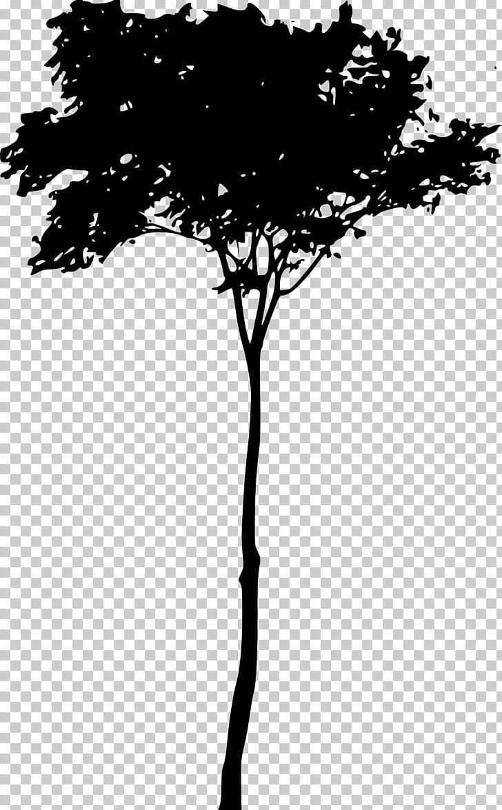Tree Woody Plant Twig Silhouette PNG, Clipart, Black And White, Branch, Download, Leaf, Line Free PNG Download